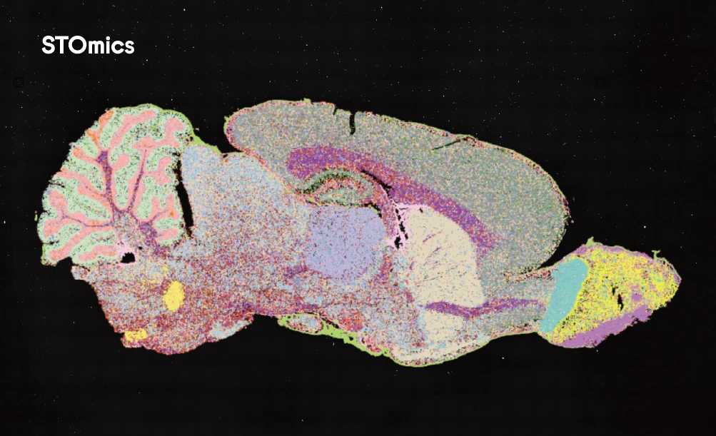Large-Area Transcriptomics vs. Standard Small-Field Methods